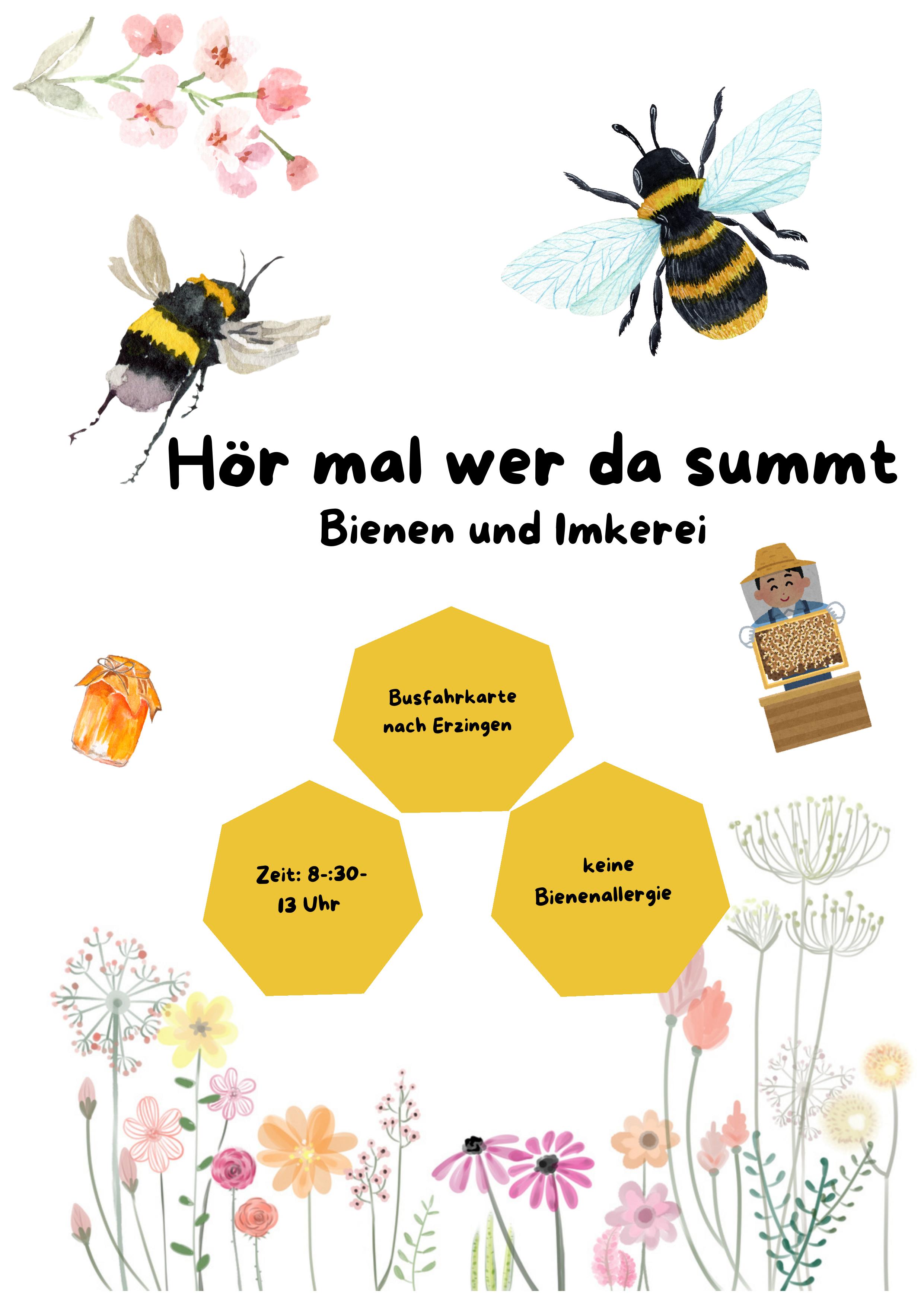 Projektplakat