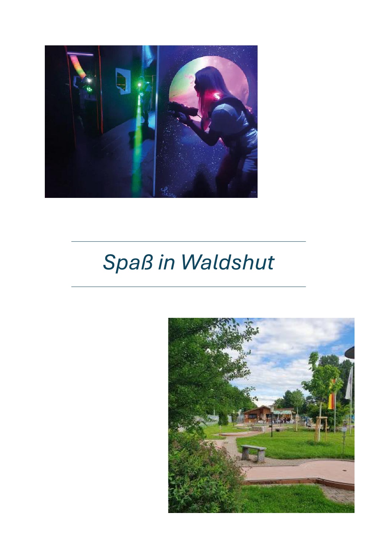 Projektplakat